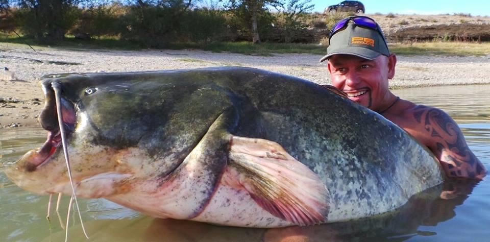 Ardy Veltkamp - 1452574452208264885134770783672n.jpg